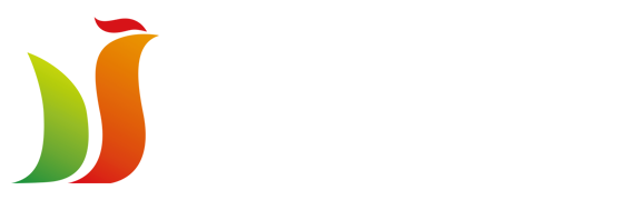 鸟类百科